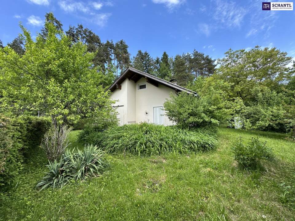 Sommerglück am Turnersee – Charmantes Ferienhaus „Emma“ in ruhiger Waldrandlage mit großem Garten &amp; Ausbaupotenzial