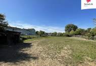 Gols | Baugrundstück in Top-Lage | 5.000 m²