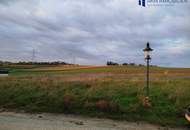 Traumhaftes Baugrundstück in Tresdorf – Ihr Eigenheim auf 782 m² wartet! 391.000 €