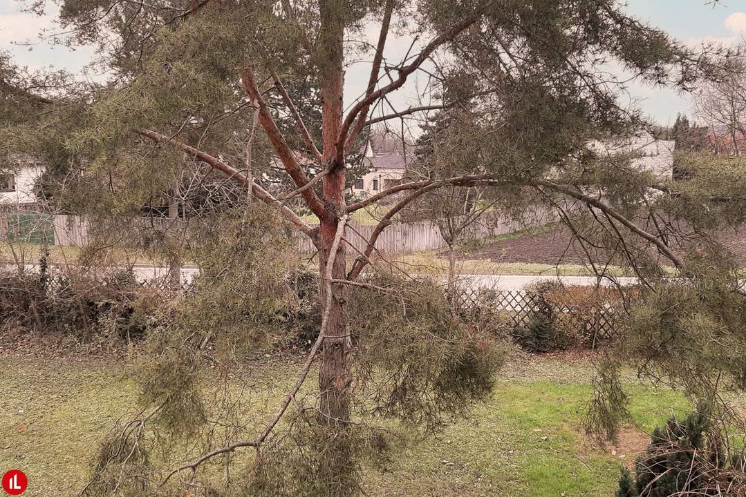 Geräumige 4-Zimmer-Wohnung mit Loggia in Trautmannsdorf – Nähe Badesee!