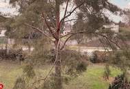 Geräumige 4-Zimmer-Wohnung mit Loggia in Trautmannsdorf – Nähe Badesee!