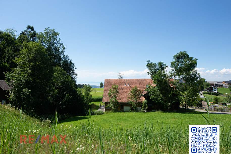 Wunderschönes Grundstück am Waldrand in prominenter Dornbirner Lage, Grund und Boden-kauf, 6850 Dornbirn