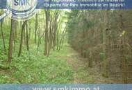 Weinkeller mit riesen Waldgrundstück Nähe A5!