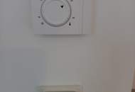 DACHGESCHOSS-ZUBAU MIT EINBAUKÜCHE+TERRASSE