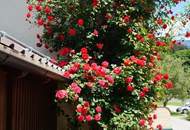 Gutgehender Gastbetrieb mit Zimmervermietung - Schi- und Wanderregion Nassfeld Hermagor