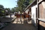 "Projektliegenschaft mit Entwicklungspotenzial!"