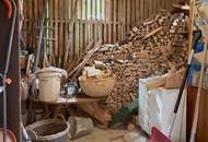 Feistritz im Rosental - idyllisches Häuschen für Singles oder Paare mit Nebengebäuden