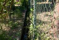 Schönes ebenes Grundstück mit 100m² verbaubarer Fläche!