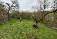 ++Neuer Preis++ Einzigartiges Landhaus oberhalb von Krems an der Donau!