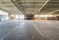 GIGANTISCH gesucht? HIER RICHTIG