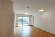 Seestadt! Heller Süd-Ost-Wohntraum beim Asperner See!