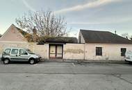 Ein Stück Geschichte mit Zukunft – sanierungsbedürftiges Haus in Traumlage gegenüber Schloss Hunyadi