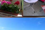 TRAUMHAFTE EIGENTUMSWOHNUNG INKL. TIEFGARAGENSTELLPLATZ