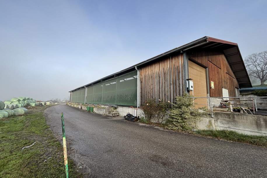 Lagerhalle, Gewerbeobjekt-miete, 4.000,00,€, 4553 Kirchdorf an der Krems