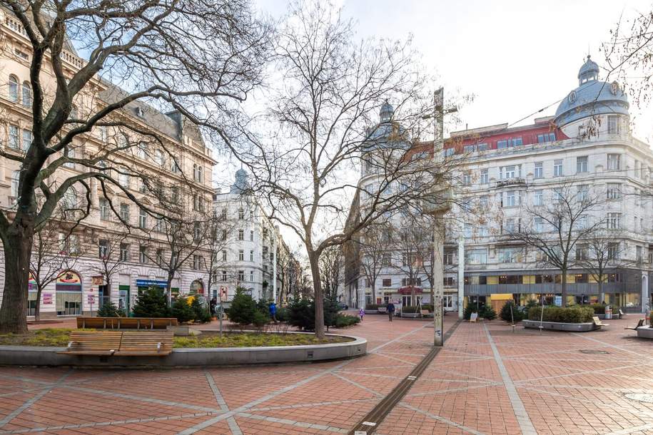 Perfekt geschnittene 3 Zimmer Altbauwohnung, direkt am Wallensteinplatz, Wohnung-kauf, 335.500,€, 1200 Wien 20., Brigittenau