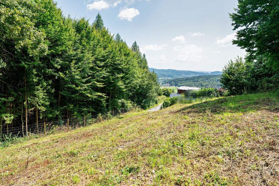 Erhöht gelegenes 911 m² Baugrundstück samt 5.000 m² Eigenwald in Stattegg, Grund und Boden-kauf, 289.000,€, 8046 Graz(Stadt)