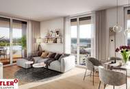 SILVESTER MIT FERNBLICK