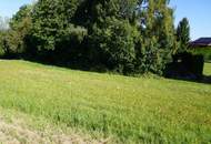 Großes Grundstück in Sankt Martin im Mühlkreis - kein Bauzwang