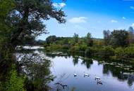 Herbstaktion! Ums Eck von Wiens schönsten naturnahen Gewässern! Klimaaktiv Bronze / Traum-Balkon / Traum-Wohnung / Traum-Lage! 3 Zimmer + Nachhaltige Energienutzung + Grün- und Ruhelage!