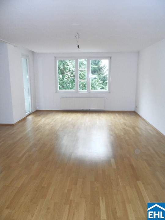 Großzügige 3 Zimmerwohnung Nähe Schloss Belvedere