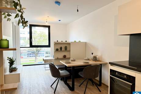 Willkommen im High Five – Ihr neues Zuhause ab Sommer 2025 mit grandioser Aussicht!, Wohnung-miete, 670,00,€, 4020 Linz(Stadt)