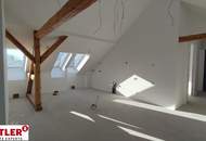 Luxuriöses Penthouse mit historischem Charme und Blick über die Weingärten