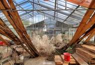 Grundstück mit alter Gärtnerei und Altbestand