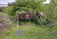 Seewinkel- Illmitz: ein Haus wie ein Guter Wein- Ortsruhelage