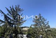 Luxus-Penthouse: 4-Zimmer-Residenz mit 3,60m Raumhöhe - 3% Winterbonus