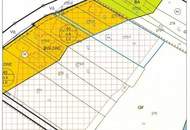 "Hier will ich leben!"