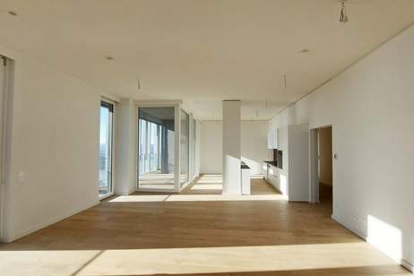 Exklusiver 3-Zi.-Erstbezug mit Sauna &amp; Skylineblick, Wohnung-miete, 1.255,00,€, 1220 Wien 22., Donaustadt