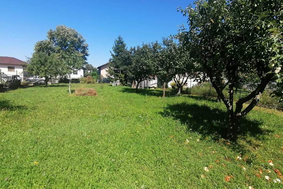 Lust auf ein Eigenheim?, Grund und Boden-kauf, 280.000,€, 2232 Gänserndorf