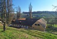 ALLEINLAGE: Sanierungsbedürftiger Vierkanthof mit ca. 17ha Land zu verkaufen