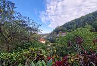 RARITÄT: SANIERUNGSBEDÜRFTIGE LIEGENSCHAFT IN EINZIGARTIGER LAGE MIT FERNBLICK INS KREMSTAL