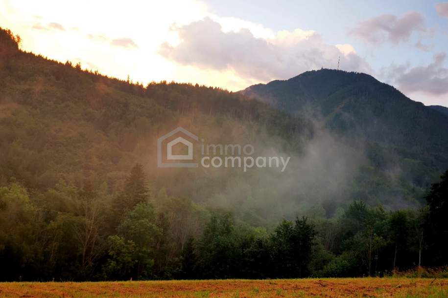 Traum-Baugrund in Semmering-Kurort, 1272m², Grund und Boden-kauf, 175.000,€, 2680 Neunkirchen