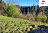 Sonnenverwöhntes Hanggrundstück - Ein Ort, an dem Wohnträume Wirklichkeit werden