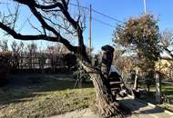 Charmanter Bungalow mit Garten im 11. Wiener Bezirk