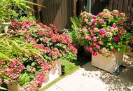 Gepflegtes Stadthaus im Zentrum - tolles Investment, frei zur Vermietung!