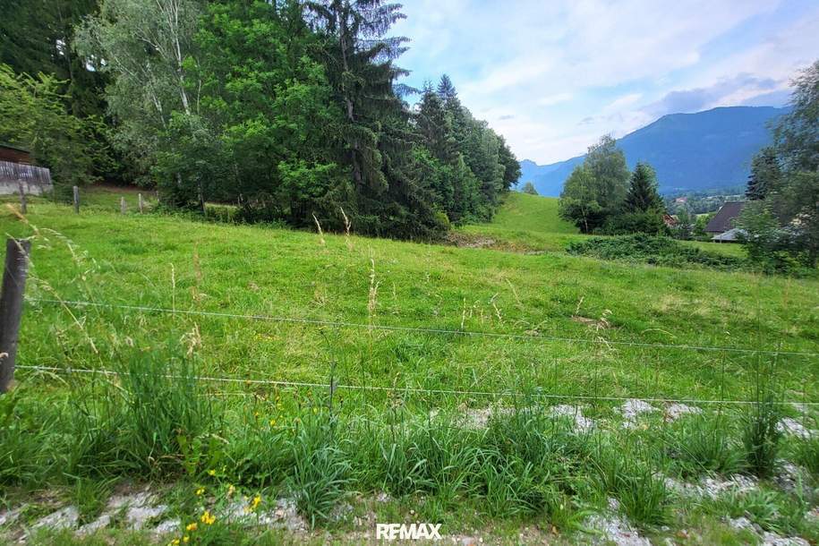 NEUER PREIS!!! Großgrundstück Bauland/Freiland, Grund und Boden-kauf, 99.000,€, 8904 Liezen