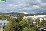 Preiswertes Wohnungsinvestment! Gesamtes Dachgeschoss-Projekt mit 3 Wohnungen in ruhiger Lage Hietzings! Terrassen! - JETZT ZUSCHLAGEN