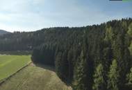 SANIERUNG 2025: Geräumiges Einfamilienhaus mit angeschlossener Kleinlandwirtschaft (Neben- und Stallgebäude) mit ca. 2.700 m² Grund