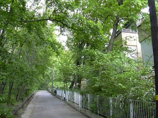 Wohnen beim Wilhelminenberg