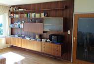 Bungalow mit Donaublick