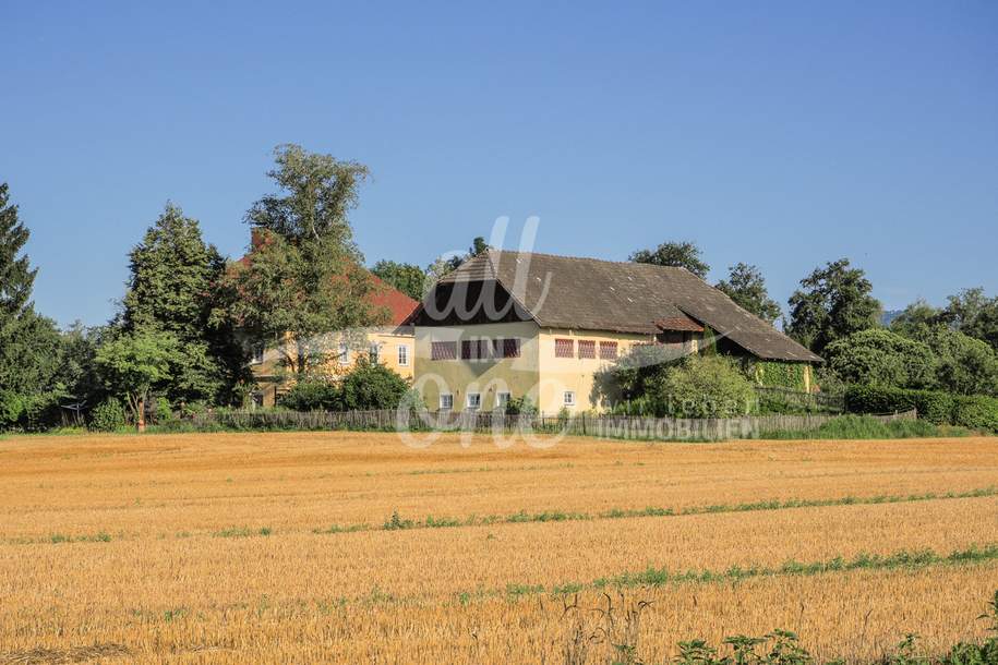 Stilvolles Anwesen mit historischem Flair in Klagenfurt, Haus-kauf, 1.749.000,€, 9020 Klagenfurt(Stadt)