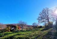 FAMILIENDOMIZIL MIT SCHWIMMTEICH