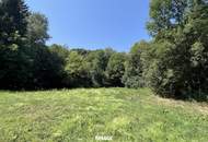 NATUR PUR - Wohnhaus in außergewöhnlicher Lage und großem Grundstück!