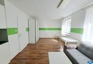 Zentral gelegenes 1-Zimmer-Apartment in ruhiger Seitengasse des 7. Bezirks