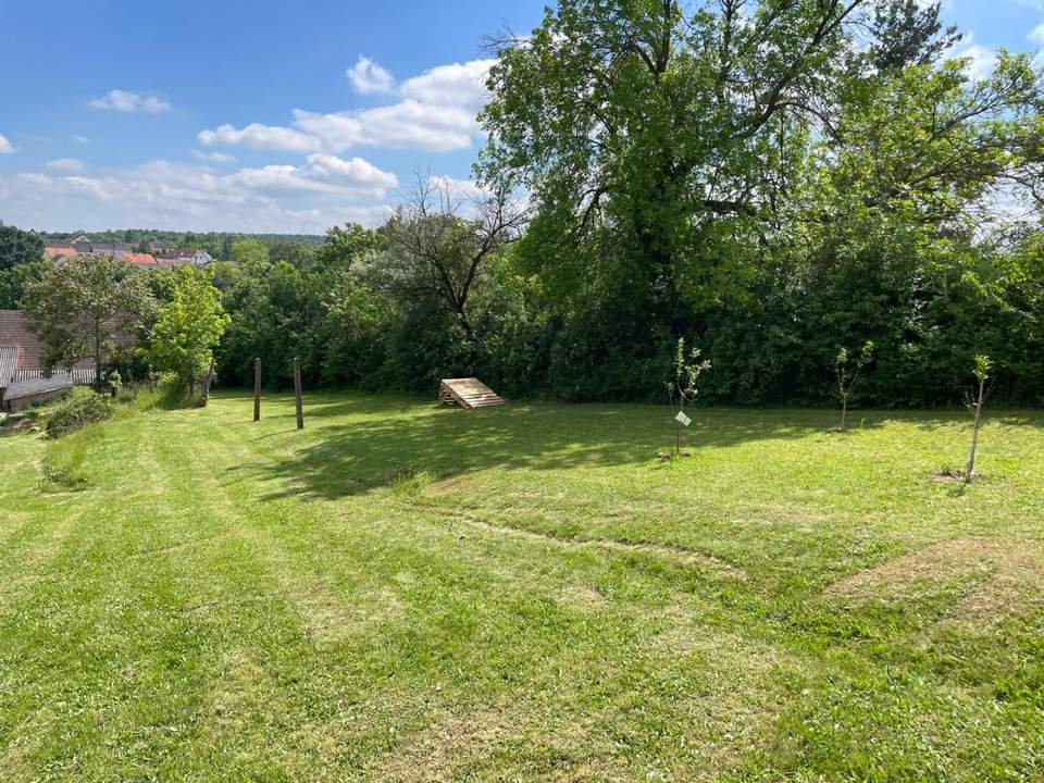 Leben im Grünen: Nachhaltige Liegenschaft mit Bauernhaus viel Land und Selbstversorger-Potenzial!