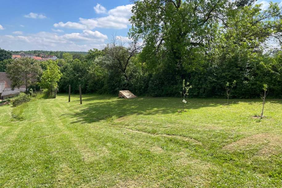 Leben im Grünen: Nachhaltige Liegenschaft mit Bauernhaus viel Land und Selbstversorger-Potenzial!, Haus-kauf, 369.000,€, 2251 Gänserndorf