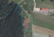 Holzschlag: Baugrundstück mit kleinem Wald in Traumlage!